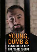 Watch Young Dumb & Banged Up in the Sun Zoechip