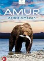 Watch Amur Asia's Amazon Zoechip
