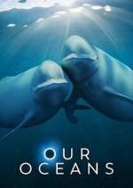 Watch Our Oceans Zoechip