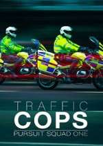 Watch Traffic Cops: Pursuit Squad One Zoechip