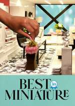 Watch Best in Miniature Zoechip