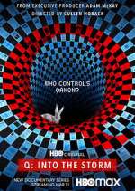Watch Q: Into the Storm Zoechip