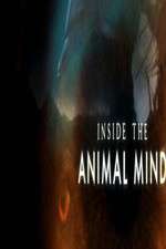 Watch Inside the Animal Mind Zoechip
