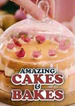 Watch Amazing Cakes & Bakes Zoechip