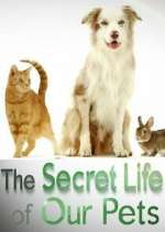 Watch The Secret Life of Our Pets Zoechip