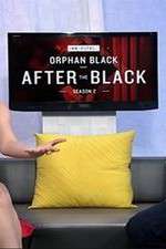 Watch Innerspace: After the Black Zoechip