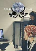 Watch Secrets of the Brain Zoechip