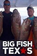 Watch Big Fish Texas Zoechip