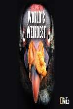 Watch National Geographic Worlds weirdest Zoechip