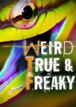 Watch Weird, True & Freaky Zoechip