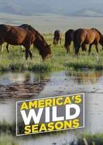 Watch America's Wild Seasons Zoechip