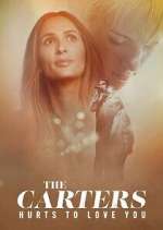 Watch The Carters: Hurts To Love You Zoechip