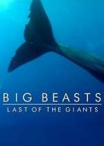 Watch Big Beasts: Last of the Giants Zoechip