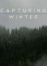 Watch Capturing Winter Zoechip