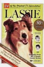 Watch Lassie Zoechip