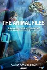 Watch The Animal Files Zoechip