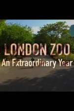 Watch London Zoo: An Extraordinary Year Zoechip