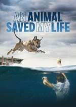 Watch An Animal Saved My Life Zoechip