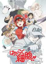Watch Cells at Work! Zoechip
