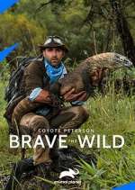 Watch Coyote Peterson: Brave the Wild Zoechip