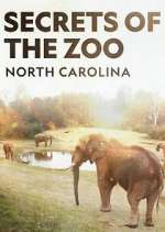 Watch Secrets of the Zoo: North Carolina Zoechip