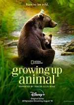Watch Growing Up Animal Zoechip