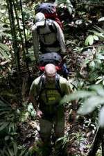 Watch Walking The Amazon Zoechip