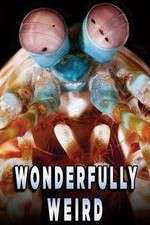 Watch Wonderfully Weird Zoechip