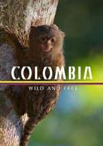Watch Colombia: Wild and Free Zoechip