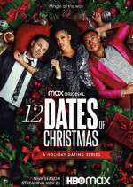 Watch 12 Dates of Christmas Zoechip