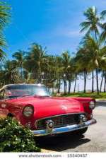 Watch South Beach Classics Zoechip