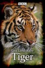 Watch Lost Land of the Tiger Zoechip