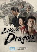 Watch Like a Dragon: Yakuza Zoechip