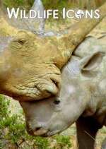 Watch Wildlife Icons Zoechip