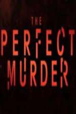Watch The Perfect Murder Zoechip