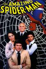 Watch The Amazing Spider-Man Zoechip