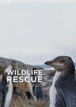 Watch Wildlife Rescue New Zealand Zoechip