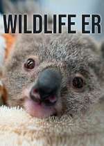 Watch Wildlife ER Zoechip