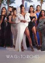 Watch W.A.G.s to Riches Zoechip