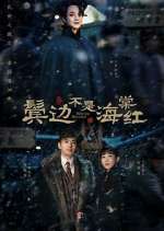 Watch Winter Begonia Zoechip