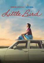 Watch Little Bird Zoechip