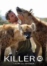 Watch Killer IQ: Lion vs. Hyena Zoechip