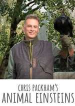 Watch Chris Packham's Animal Einsteins Zoechip