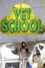 Watch Vet School Zoechip