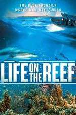 Watch Life on the Reef Zoechip