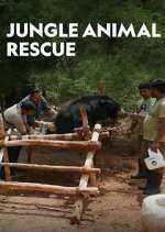 Watch Jungle Animal Rescue Zoechip