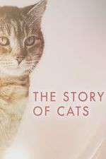 Watch The Story of Cats Zoechip