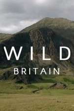 Watch Wild Britain Zoechip