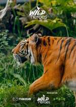 Watch Wild Heroes Zoechip