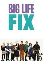 Watch The Big Life Fix Zoechip
